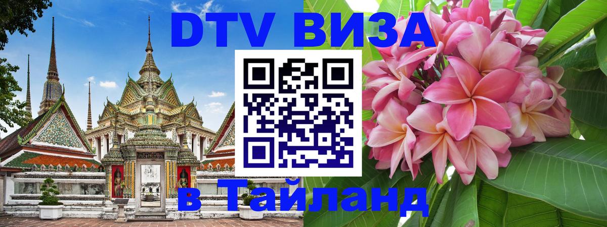 Сколько стоит DTV виза — актуальные цены, оформление даже без документов - 20.11.2025 